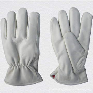 Cow Grain Leather Fleecy Lined Driver Glove-9023